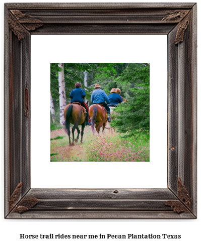 horse trail rides near me in Pecan Plantation, Texas